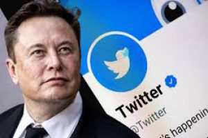 Tỷ phú Elon Musk tiếp quản Twitter có tác động đến bể tách mỡ Otank